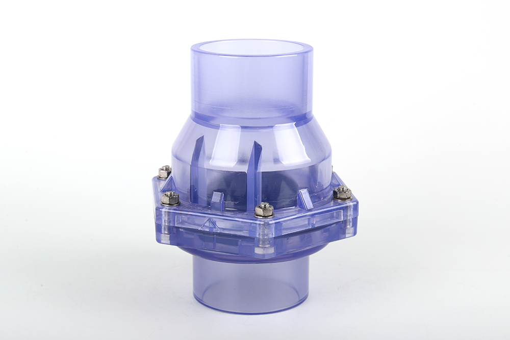 扬州透明翻板式止回阀